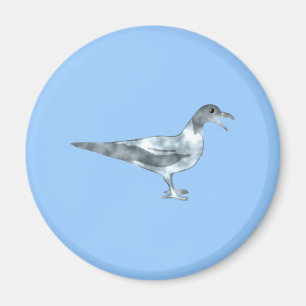 Möwe seagull magnet