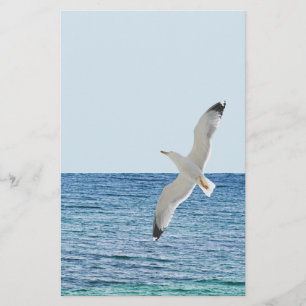 Möwe über dem Meer Flyer