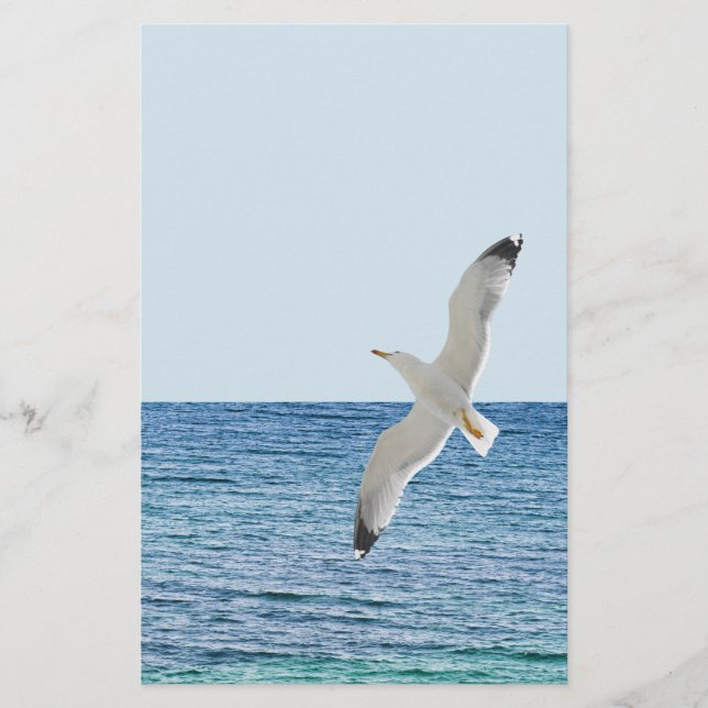 Möwe über dem Meer Flyer (Vorne)