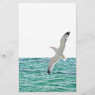 Möwe über dem Meer Flyer