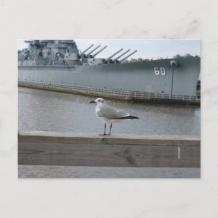 Möwe USS Mobile Schlachtschiff Fotografie Postkarte