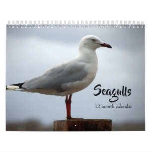 Möwen 2026 kalender