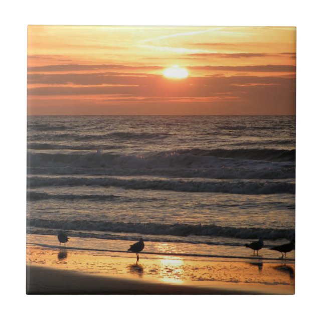 Möwen am Meer bei Sonnenuntergang  Fliese (Vorderseite)