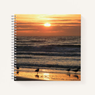 Möwen am Meer bei Sonnenuntergang Notizbuch