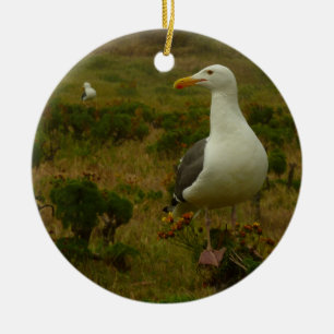 Möwen auf Anacapa Island Keramikornament