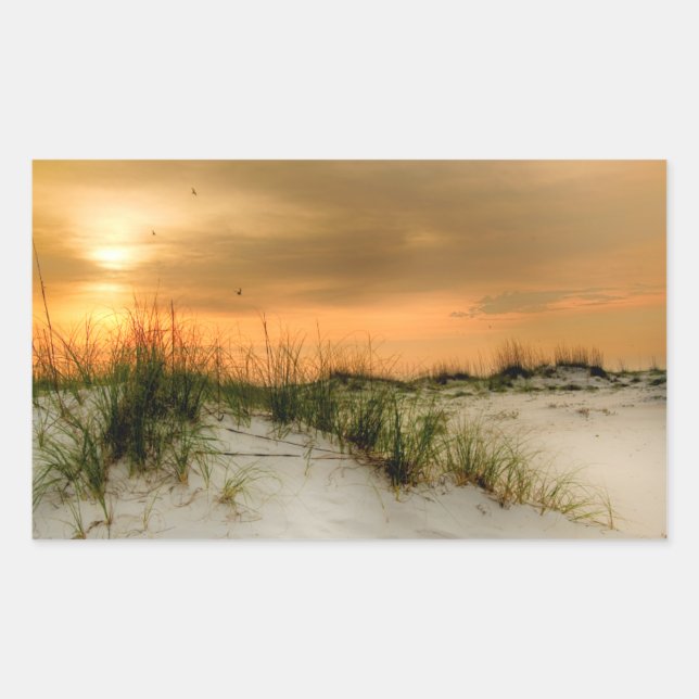 Möwen bei Sonnenaufgang Rechteckiger Aufkleber (Vorderseite)