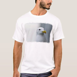 Möwen brauchen auch Liebe T-Shirt