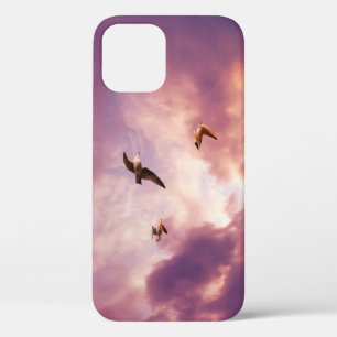 Möwen fliegen in einem Sonnenuntergang Himmel Case