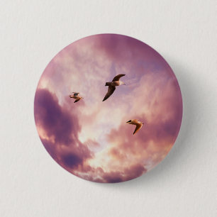 Möwen fliegen in einem Sonnenuntergangshimmel Button