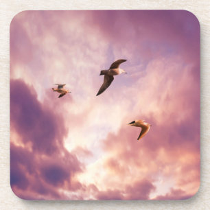 Möwen fliegen in einem Sonnenuntergangshimmel Getränkeuntersetzer