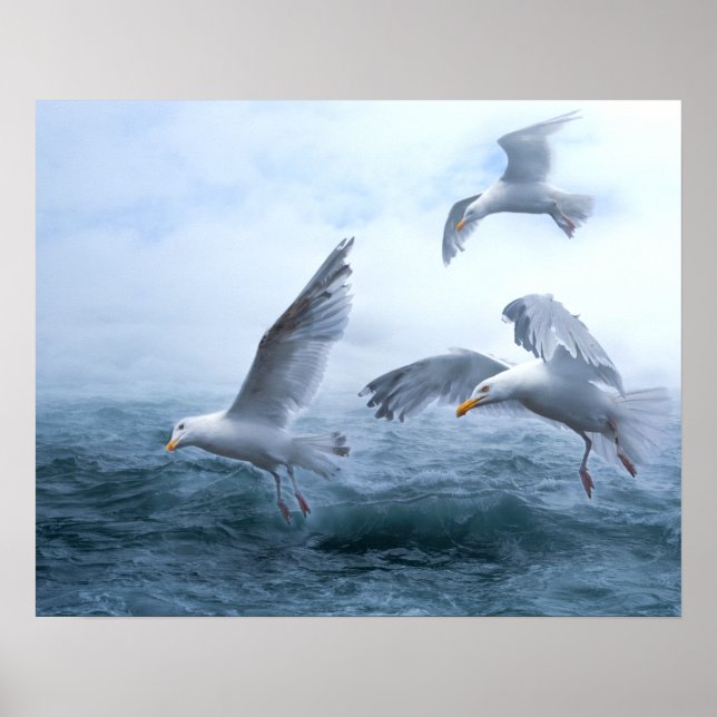 Möwen fliegen über das Meer Poster (Vorne)