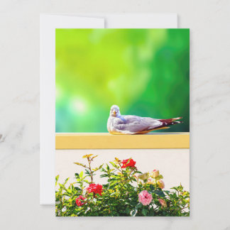 Möwen-Fotokarte, Geschenk zur Küsten-Natur, Innen Dankeskarte