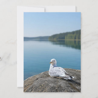 Möwen-Fotokarte, Geschenk zur Küsten-Natur, Innen Dankeskarte