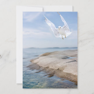 Möwen-Fotokarte, Geschenk zur Küstenlandschaft, In Dankeskarte