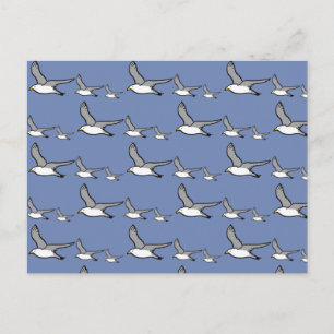 Möwen im Flug Postkarte