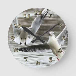 Möwen im Flug Runde Wanduhr