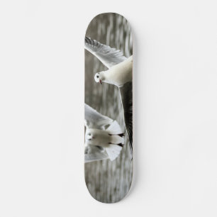 Möwen im Flug Skateboard