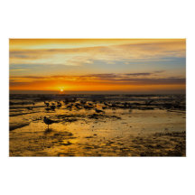 Möwen im Sonnenuntergang