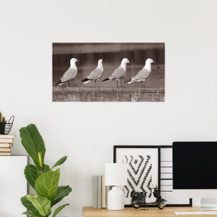 Möwen in Reihe Poster