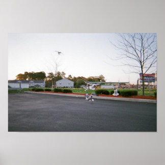 Möwen nicht gefüttert poster