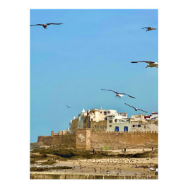 Möwen und die Stadt. - Essaouira, Marokko Fotodruck