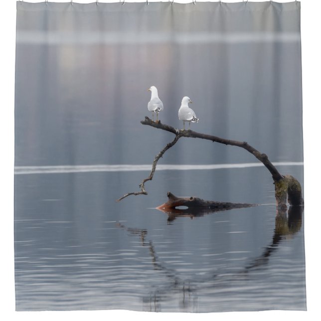 Möwen Vögel Wasser Blau Weiße Friedliche Tierwelt Duschvorhang (Vorderseite)