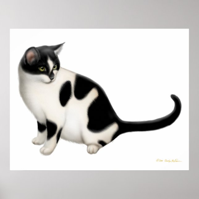 Moxie der Tuxedo Katze Print Poster (Vorne)