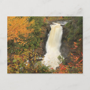 Moxie fällt im Herbst die Gräben Maine Postkarte
