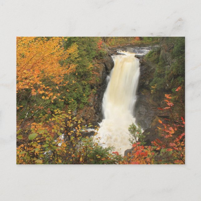 Moxie fällt im Herbst die Gräben Maine Postkarte (Vorderseite)