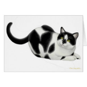 Moxie la carte de chat