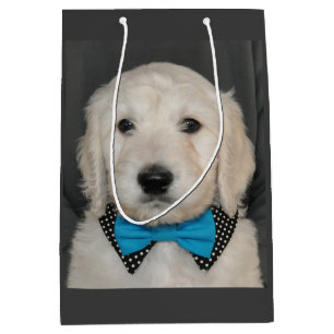 Moyen Chiot de Goldendoodle dans le sac de cadeau de