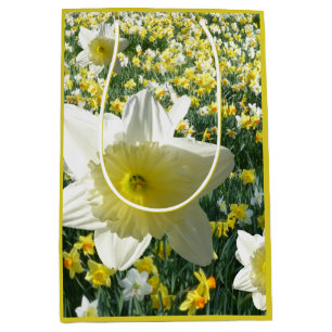 Moyen Daffodiles Fleurs de printemps Sac cadeau de terra