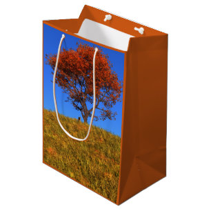 Moyen Effacer le sac cadeau du jour d'automne