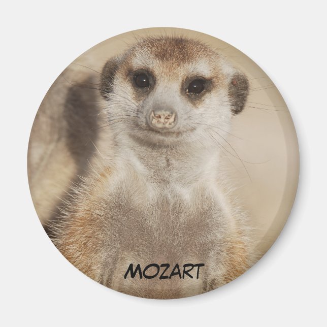Mozart Magnet (Vorne)