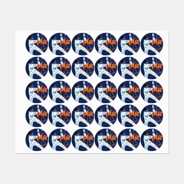 Mr. 365 Cricket Stickers Etiketten (Blatt)