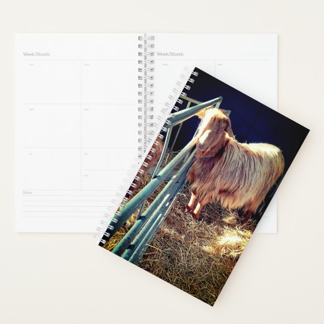 Mr. glatt planer (Anzeige)