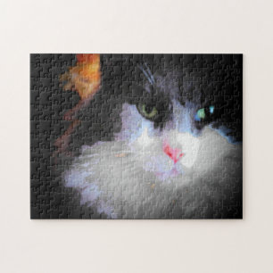 Mr. Pink the Cat