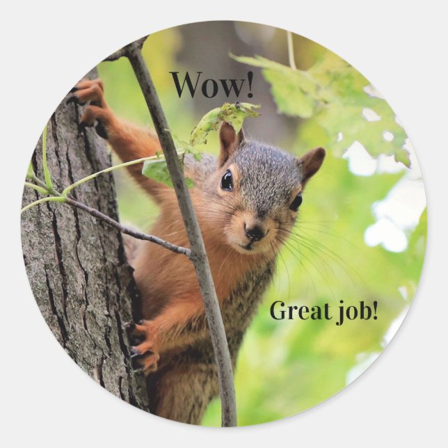 Mr. Squirrel's Great Job Student Stickers (Vorderseite)