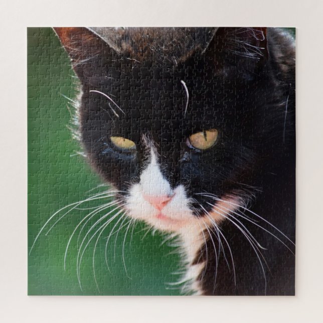 Mr. Whiskers - Cat Jigsaw Puzzle - 20x20 - 676 pc (Vertikal)