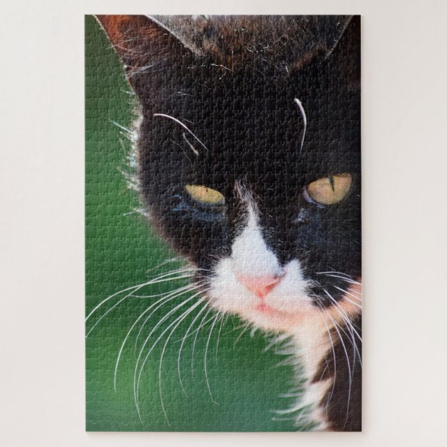 Mr Whiskers - Cat Jigsaw Puzzle - 20x30 - 1014 PC (Vertikal)