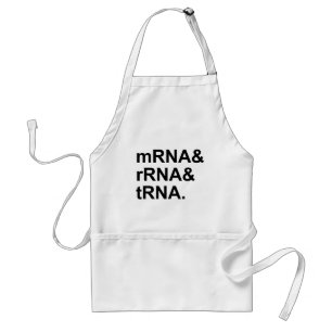 mRNA rRNA tRNA   Arten von RNA Schürze