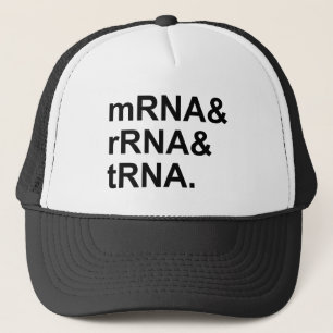 mRNA rRNA tRNA   Arten von RNA Truckerkappe