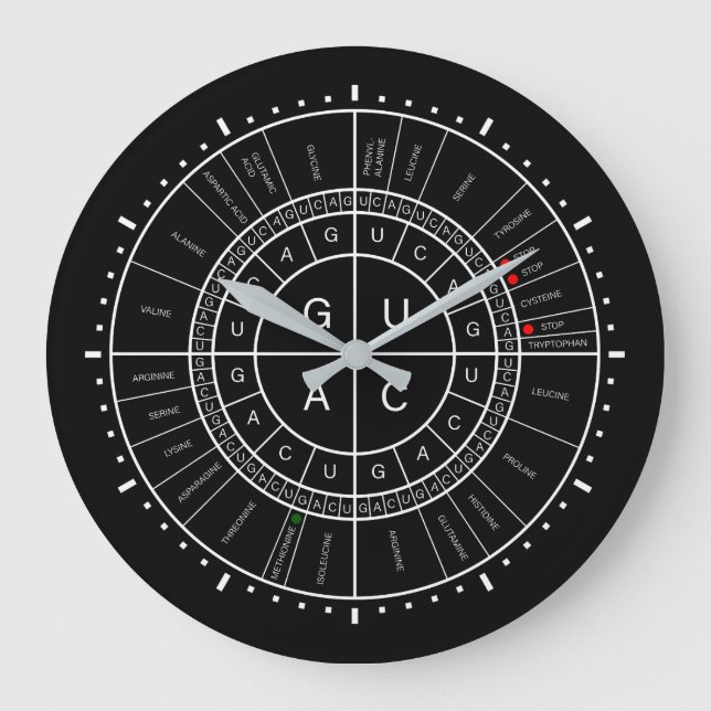 mRNA to AMINO ACID CODON WHEEL Große Wanduhr (Vorderseite)