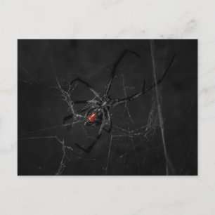 Mrs. Black Postkarte