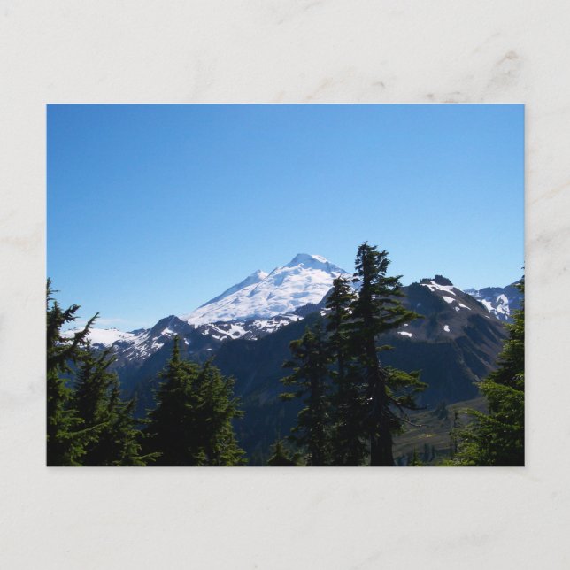 Mt Baker im Sommer Postkarte (Vorderseite)