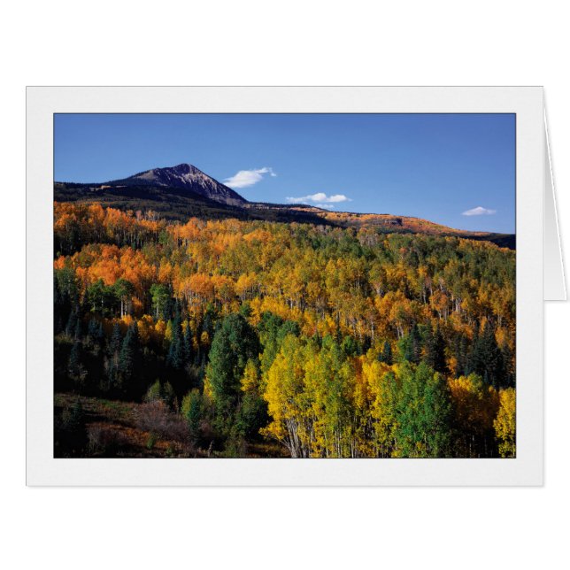 "Mt. Baldy - Aspen Tree Flow" (Vorderseite (Horizontal))