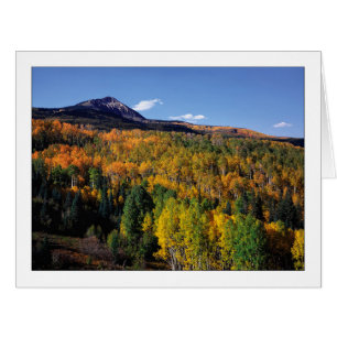 "Mt. Baldy - Flux d'arbres d'Aspen"