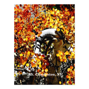 Mt. Charleston NV Automne Aspen Photo Imprimer
