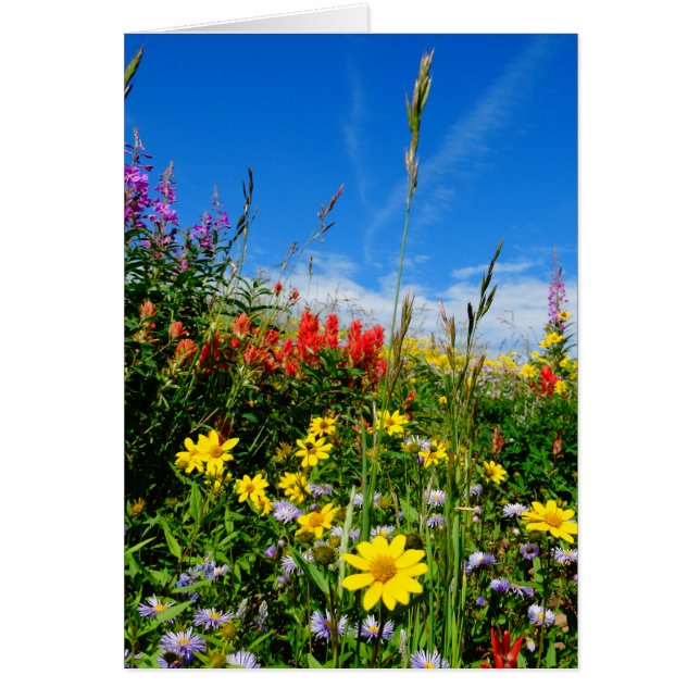 Mt. Fleur sauvage (Devant)