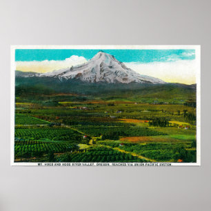Mt. Haube von Hood River ValleyHood Fluss ODER Poster